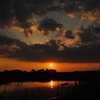 夕日
