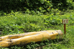 座り心地いいよ