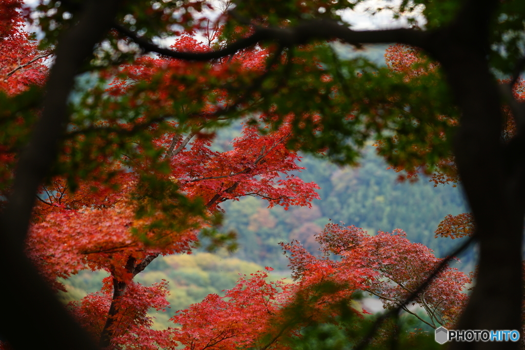 ちらっ