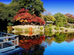 新宿御苑 日本庭園