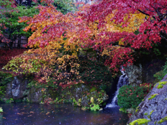 紅葉の石楽園