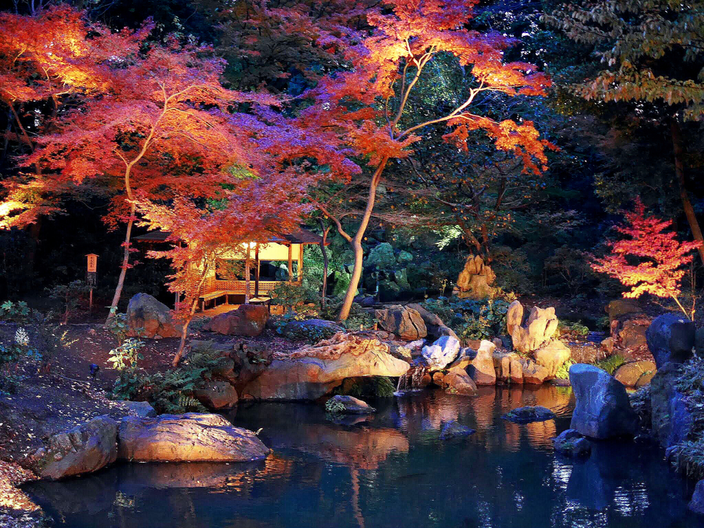 六義園 滝見の茶屋