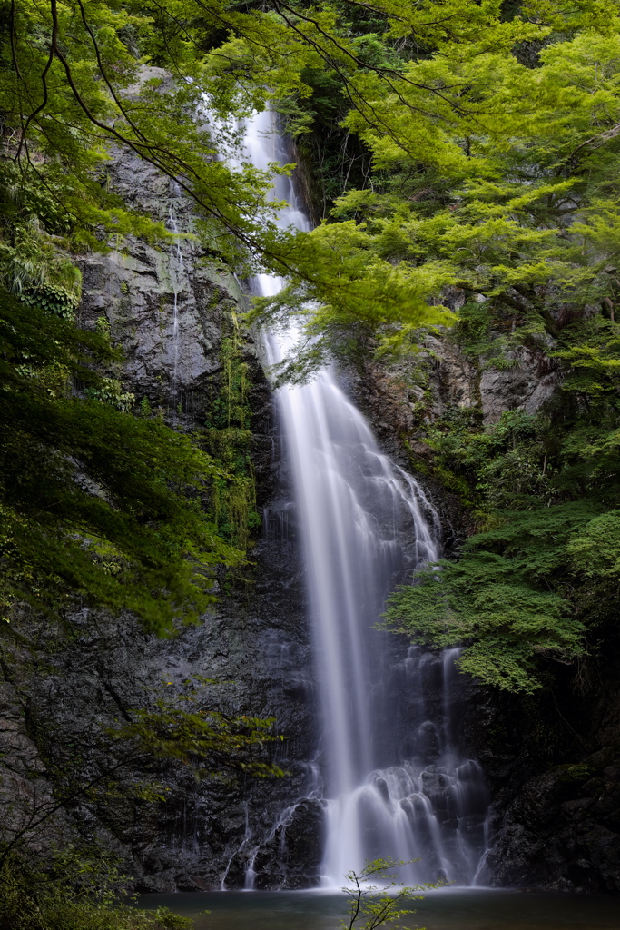 箕面の滝