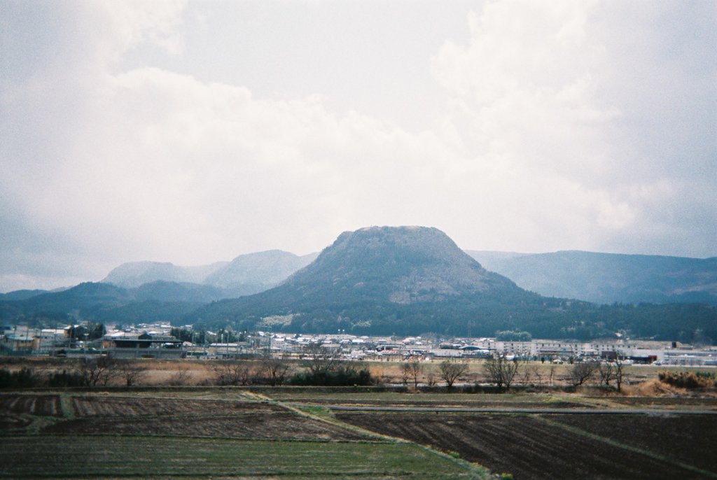 切株山