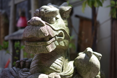 ドヤゴン