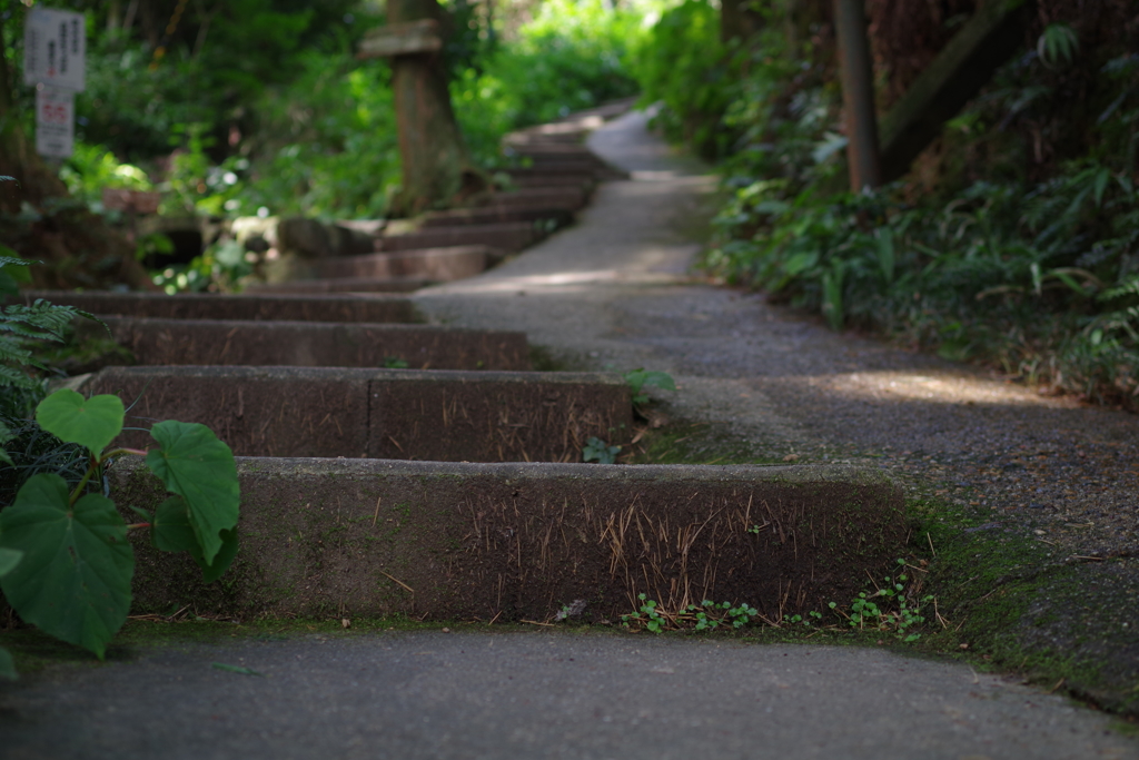 道・階段