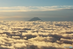 Golden Road to Mt.fuji 