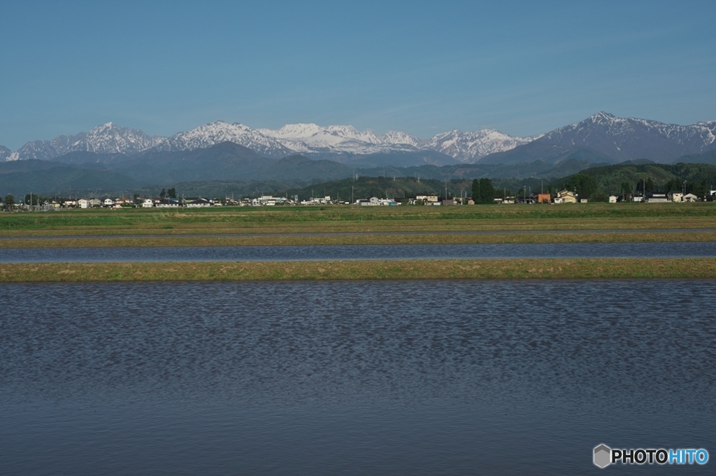 水田と剱、立山連峰