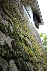岡山錠003