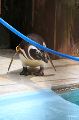 姫路市立動物園001