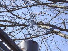 049　湯布院の鳥のオブジェ