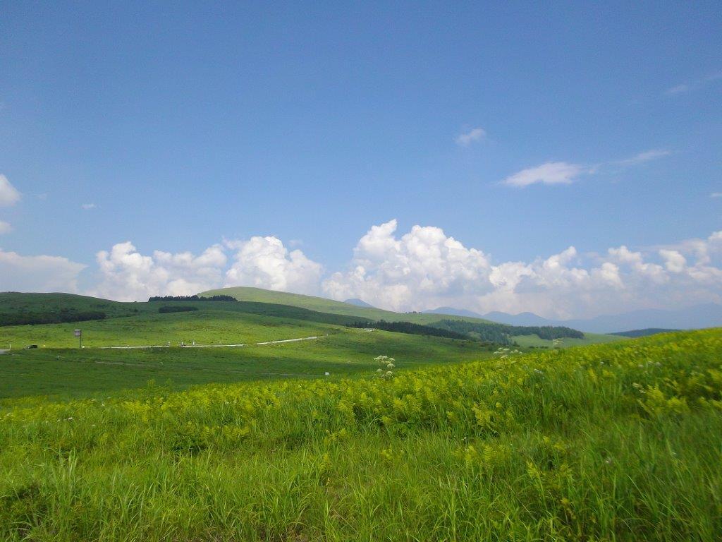 霧が峰の夏