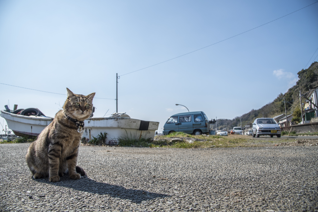 青空いっばいの下で