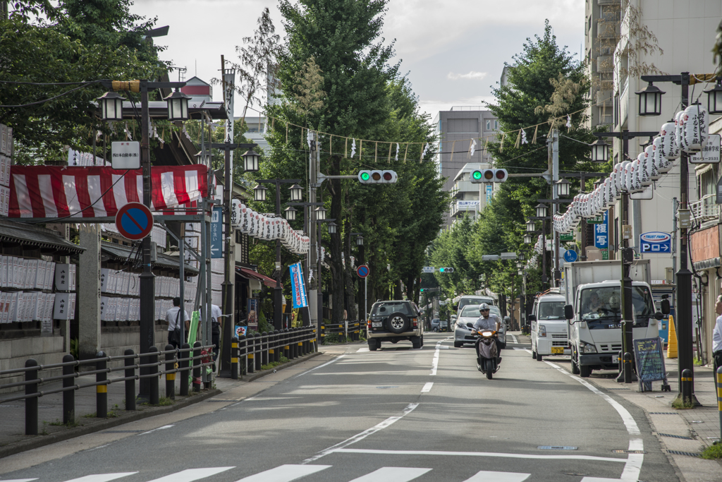 追い山（現在）