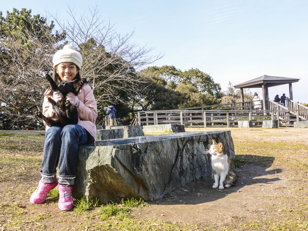 猫好きな少女