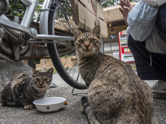 食事の途中で