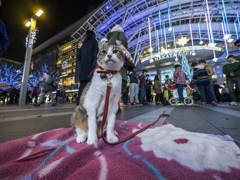 タイムスリップしてしまったのか？