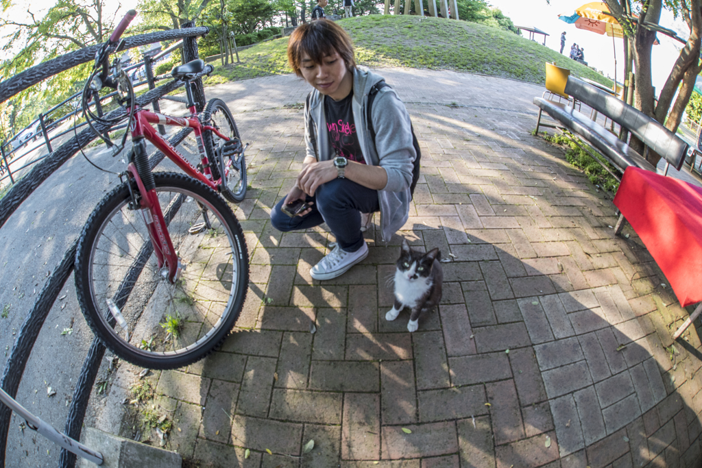 猫好き