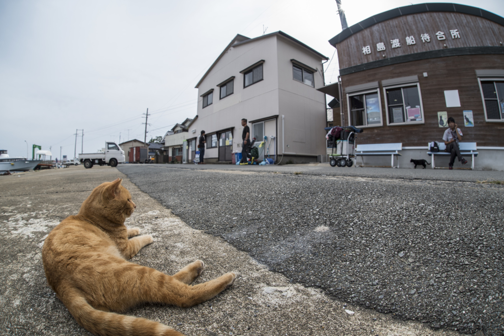 のどかな昼下がり