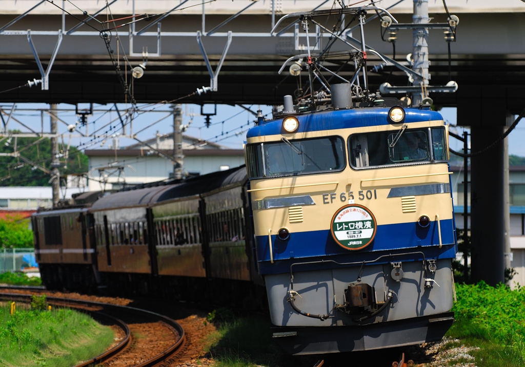 EF65-501