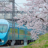 2022年3月31日　小田急×桜4