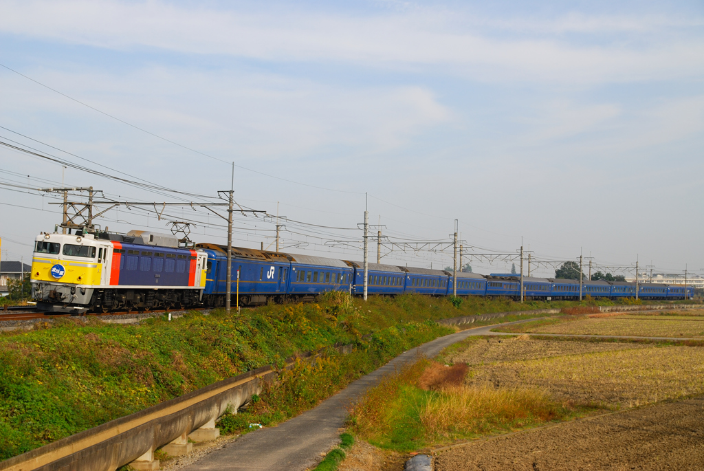 カシ斗星