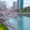 2022年3月28日　都内の桜と鉄道5