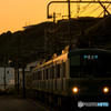 新レンズで鎌倉へ３
