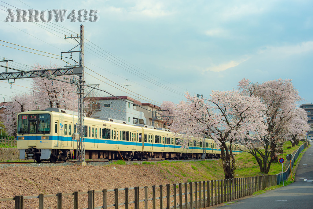2022年3月31日　小田急×桜9