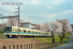 2022年3月31日　小田急×桜9