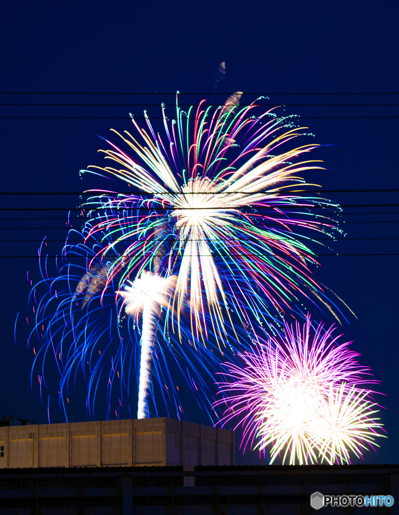 横浜開港祭２