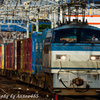 2019年5月30日　東海道貨物線　EF66