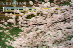 2022年3月28日　都内の桜と鉄道4