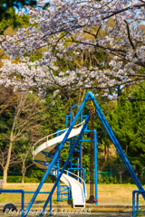 2018年3月28日　児童公園