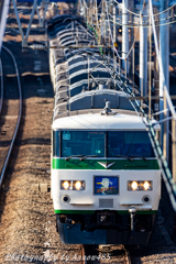2019年2月19日　湘南ライナー14号