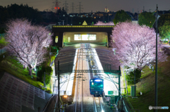 桜×相鉄×ランドマークタワー