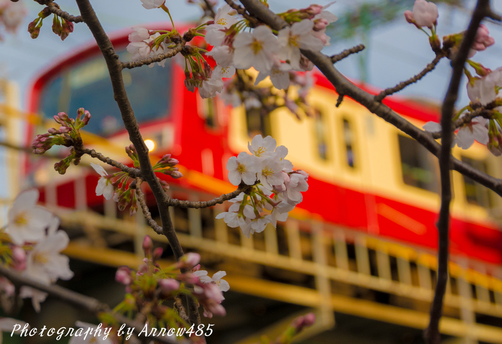 2018年3月24日　京急２０００形と桜