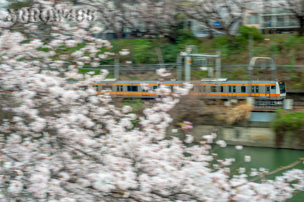 2022年3月28日　都内の桜と鉄道3