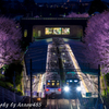 2018年3月28日　相鉄弥生台の桜１