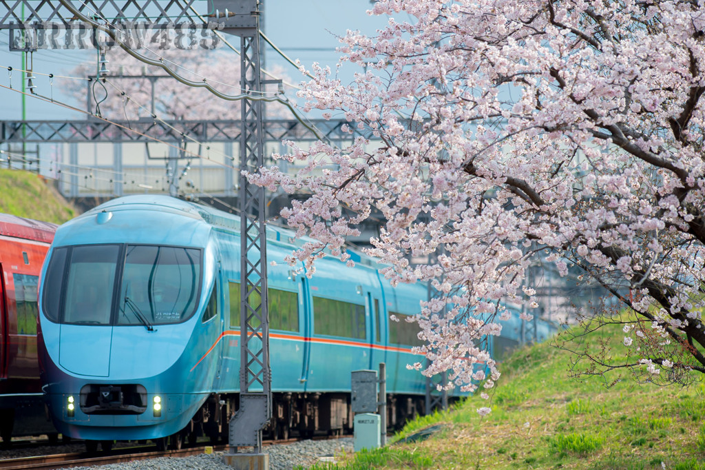 2022年3月31日　小田急×桜8