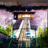 2022年3月30日　相鉄弥生台の桜2