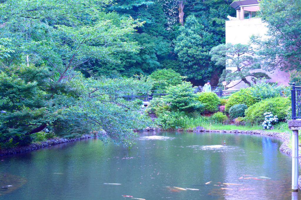 椿山荘　中庭