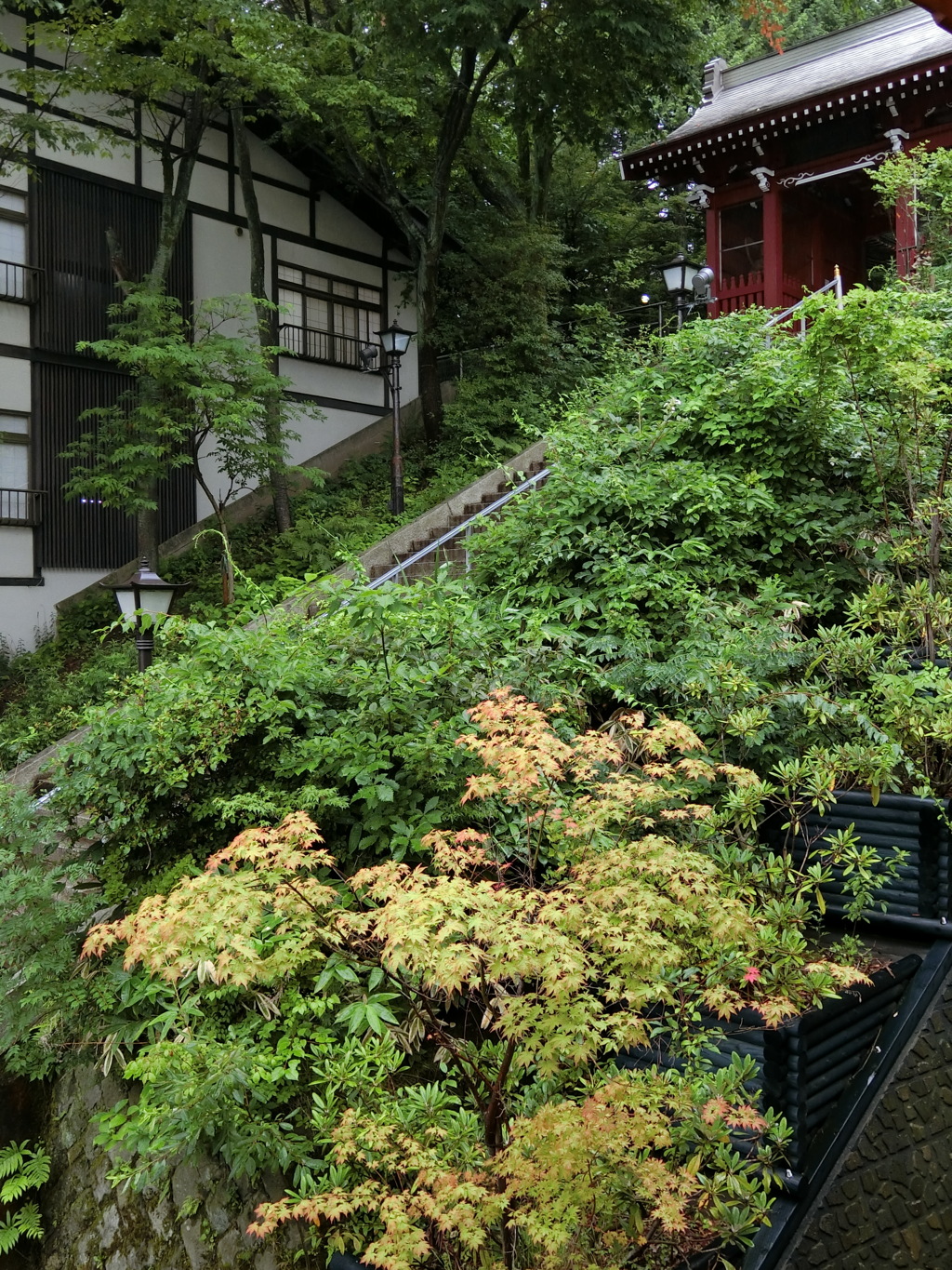 2016.07.15 草津温泉 その1