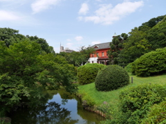 2017.07.22 小石川植物園 その1