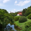 2017.07.22 小石川植物園 その1