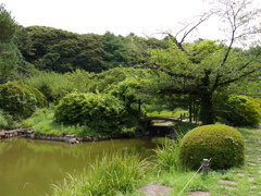 2017.07.22 小石川植物園 その2