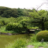 2017.07.22 小石川植物園 その2