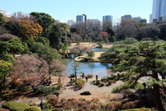 2016.12.10 六義園 その8