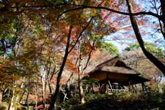 2016.12.10 六義園 その6