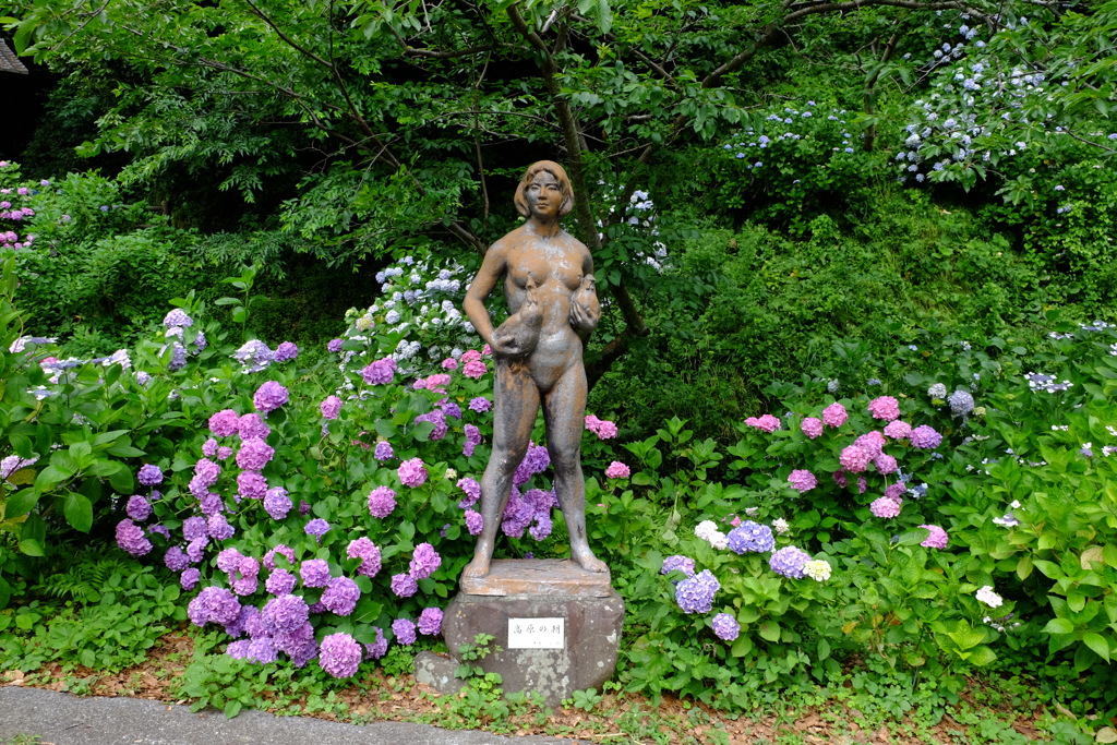 2017.06.24 下田公園 あじさい その1